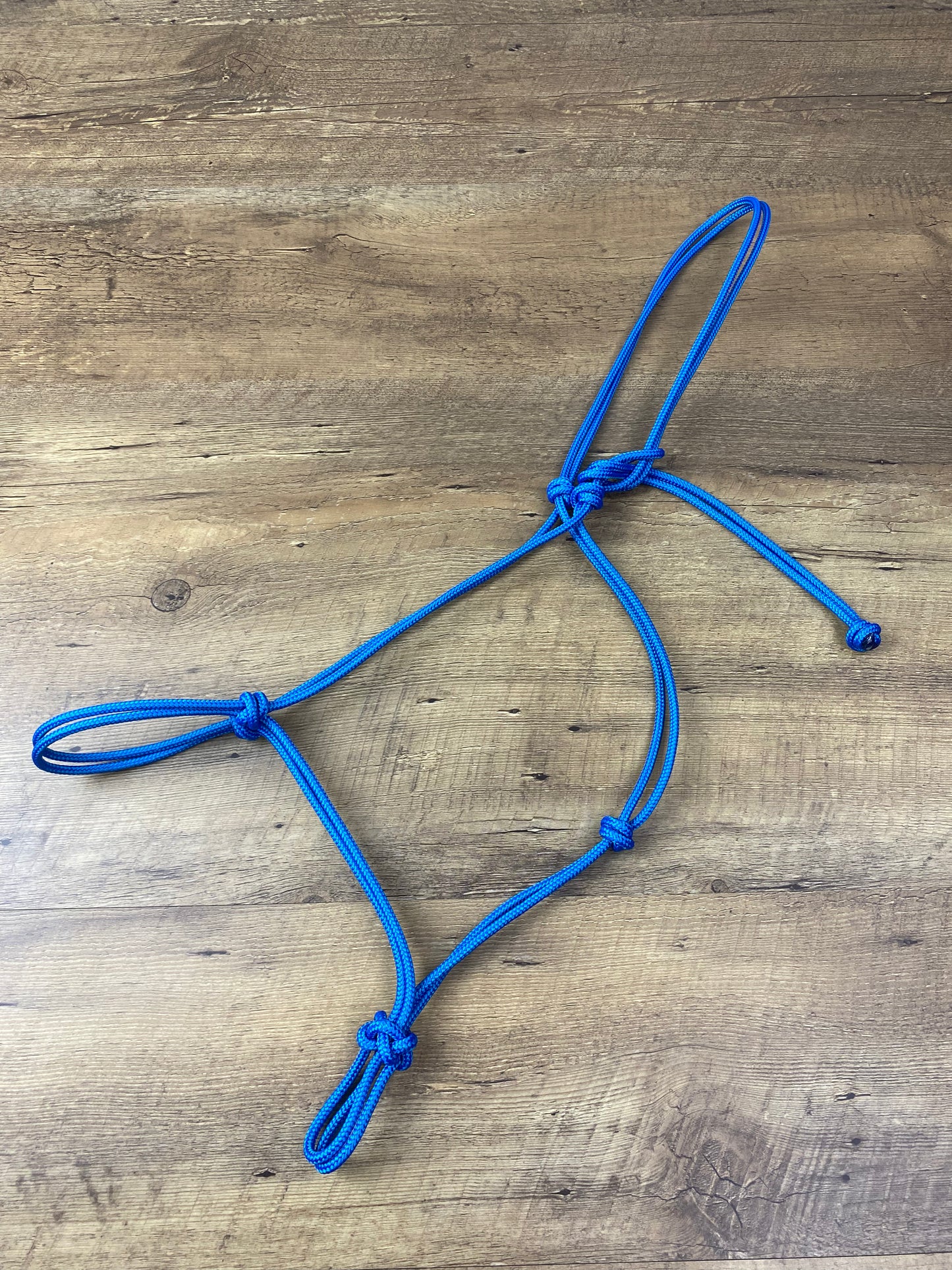 Trail Halter