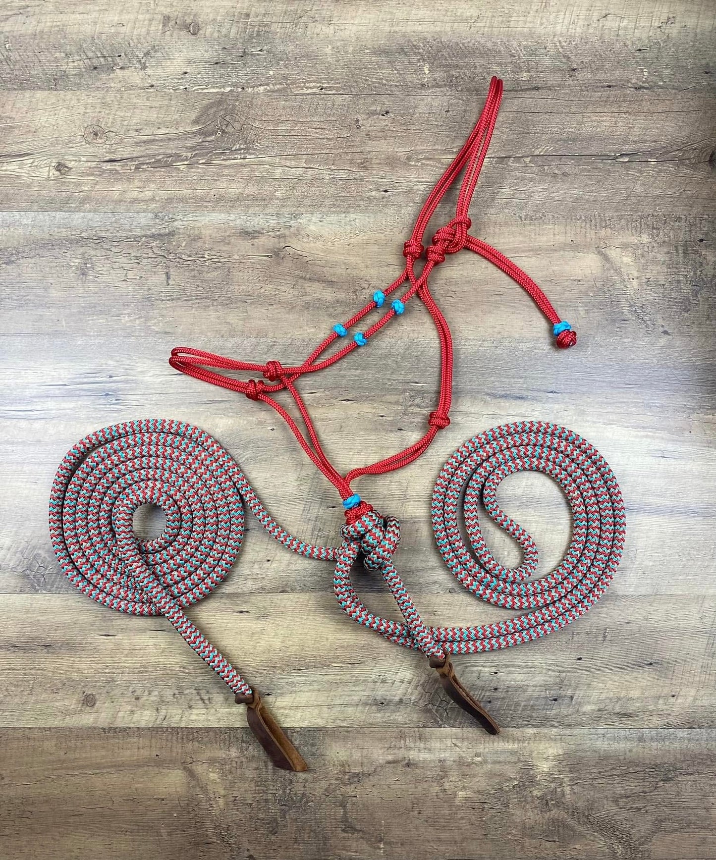Rope Hackamore