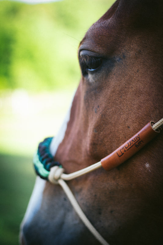 Leather Halter Name Tag