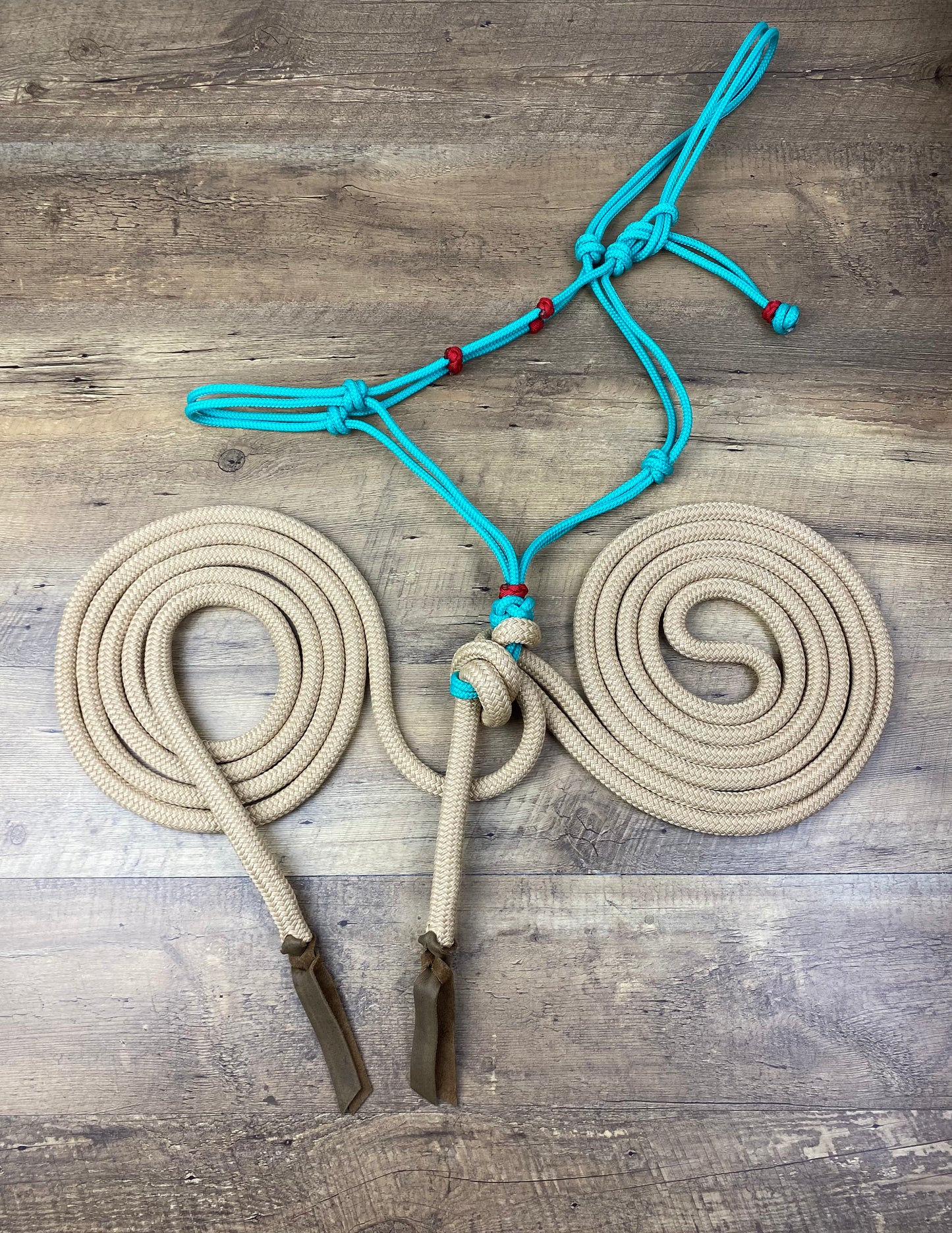 Rope Hackamore